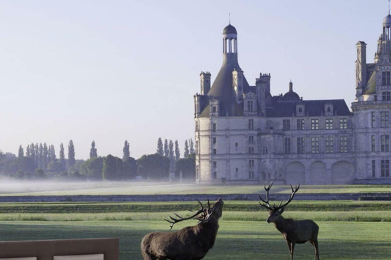 Gite 6P proche Chambord dans écuries de charme Vineuil  Extérieur photo