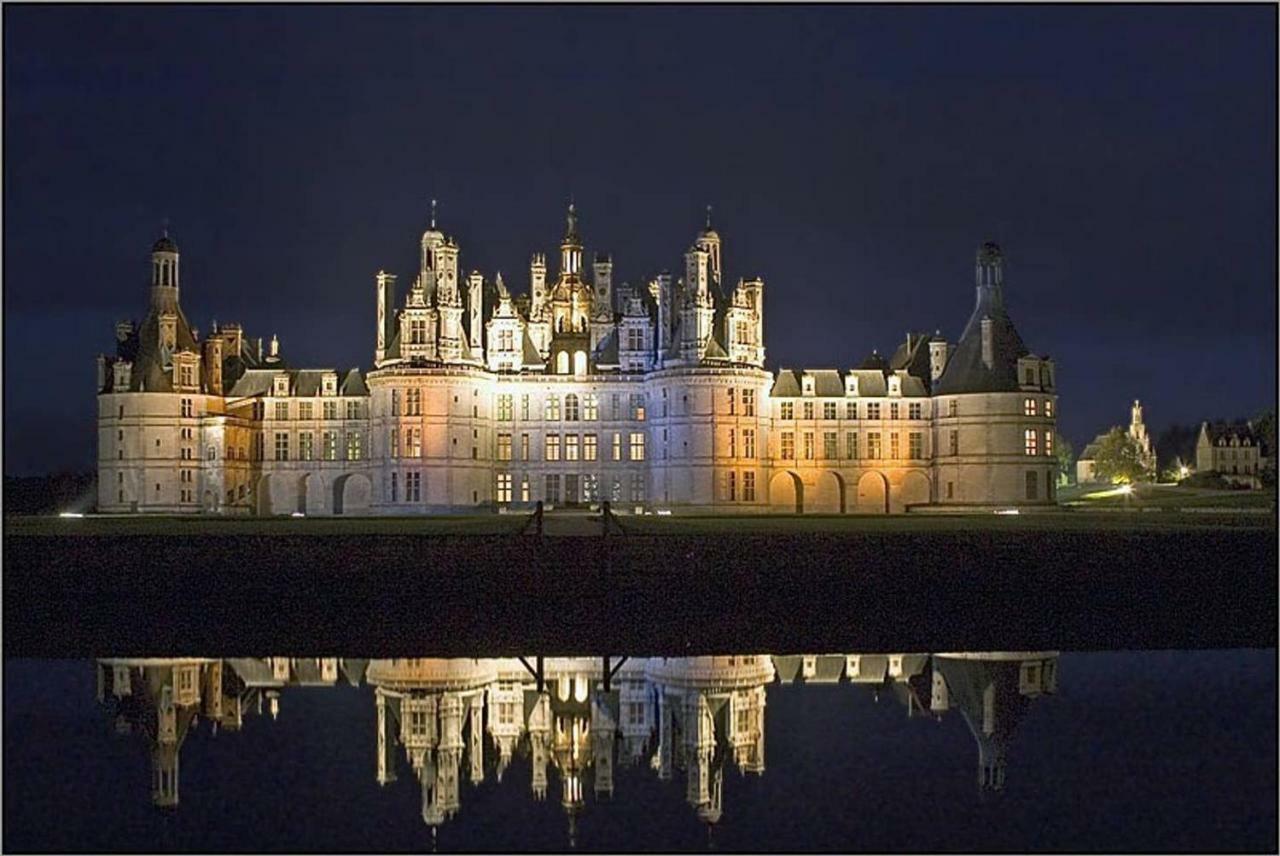 Gite 6P proche Chambord dans écuries de charme Vineuil  Extérieur photo